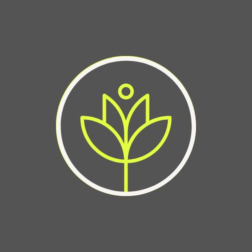 Sam Wilson Zara logo
